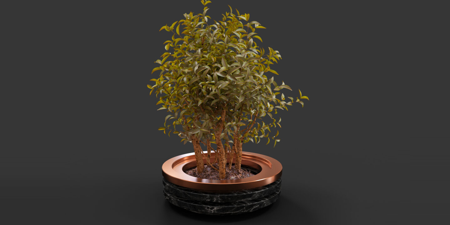 planter_2